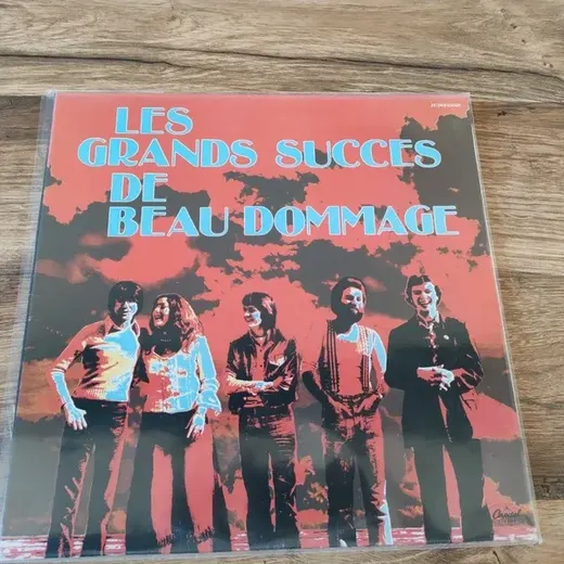 Vinyle les grands succès de beau dommage