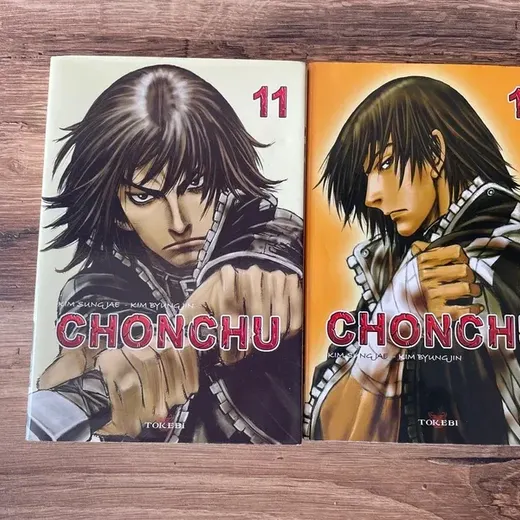 Lot mangas tomes 11&12 chonchu