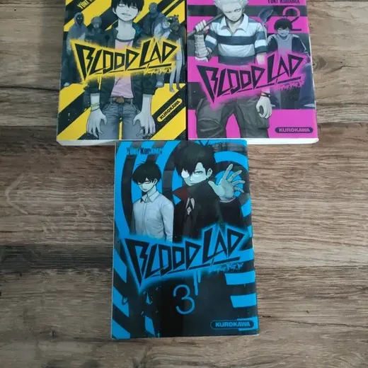 Lot 3 premiers tomes de BloodLad