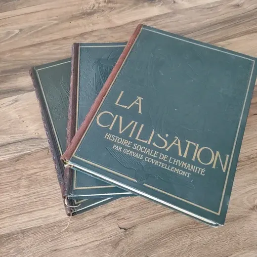 Lot de 3 livres de collection la civilisation