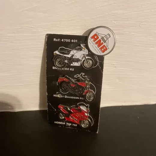 Pins moto