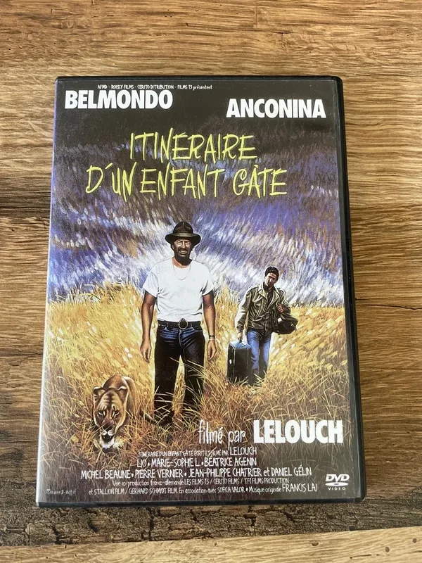 DVD itinéraire d’un enfant gâté