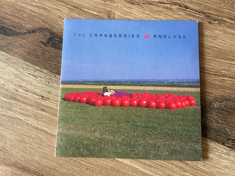 Single the cranberries analyse