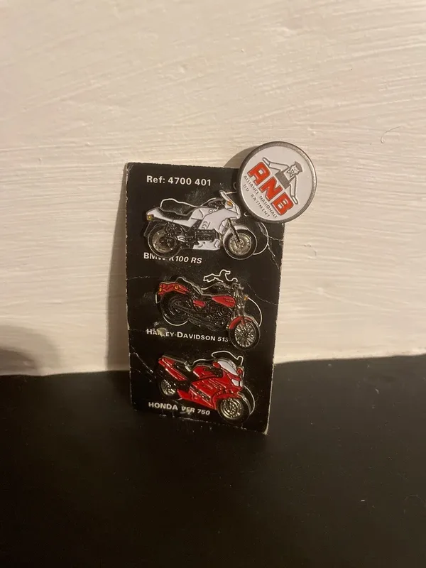 Pins moto