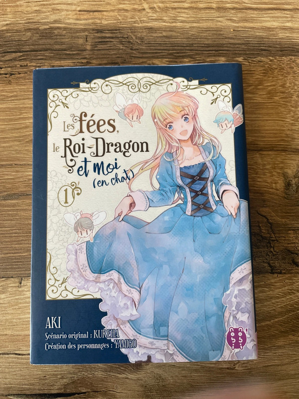 Tome 1 de les fées, le roi dragon et moi (en chat)