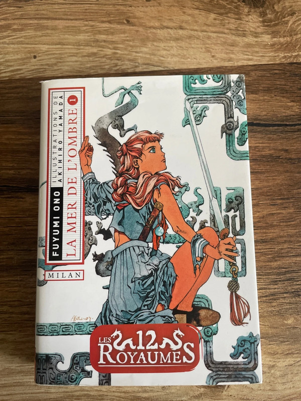 Roman la mer de l’ombre tome 1